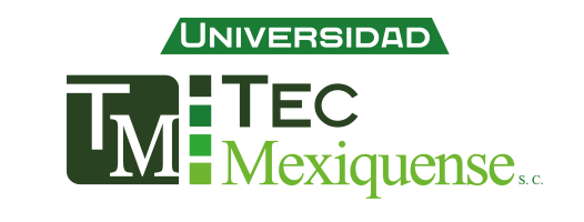 UNIVERSIDAD TEC MEXIQUENSE